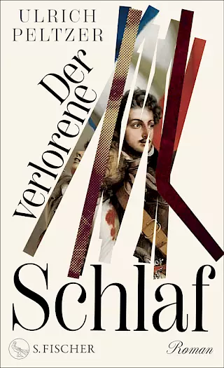 Cover: Der verlorene Schlaf